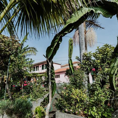 City View Gardens I Funchal  Extérieur photo