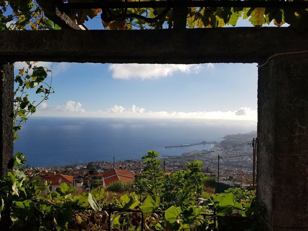 City View Gardens I Funchal  Extérieur photo